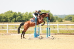 SBM_001678