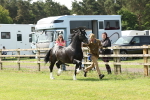 SBM_02191