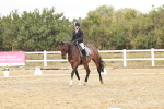 SBM_003677
