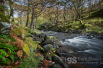 Afon Artro