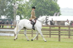 SBM_12643