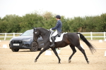 SBM_020284