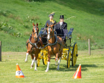 Attelage -641