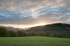 Springfield Coppice sunrise