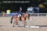 BPP_8455