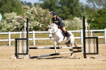 SBM_007669