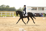 SBM_018311