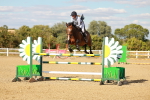 SBM_007950