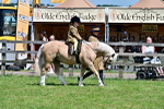 SBM_05933