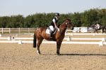 SBM_006480