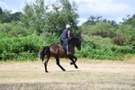 WJ5_8963