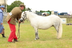 SBM_04365