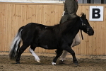 SIAL9383