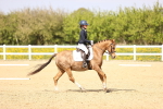SBM_008465