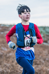Sale Fell-40
