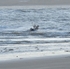 Kite Surfers - West Shore 27th November 2011 portfolio
