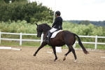 SBM_002785