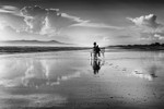 Morning Trot B&W