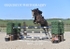 BPP_3208