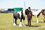 SBM_05522
