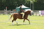 SBM_06780