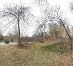 March 2020 - Arnold Arboretum - Title: Looking for Spring