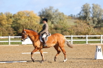 SBM_000422