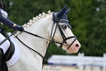Thursday 24th - 40cm Showjumping portfolio