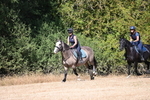 WJ6_8681