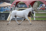 SBM_23086