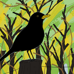 Blackbird