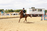 SBM_006446