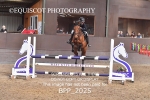 CLASS 10 Pony Newcomers/ 1m Open portfolio