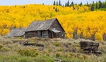 Abandoned