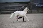 SBM_004593