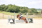 Oakingham Stud USJL 22.06.2025 portfolio