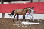 JAC_4654