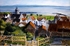 "Culross-from above"