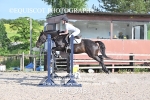 BPP_2481