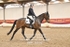 BPP_9192