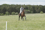 BVHT 140517  NXC -358