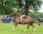Dunblane show-262