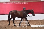 BPP_1429