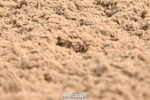 240622A-091015-07340