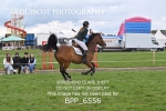 BPP_6556