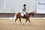 SBM_009008
