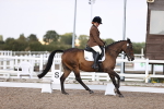 SBM_07940