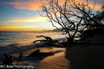 Maui Sunset 2