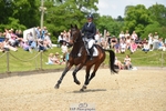 357-VIVENDI_HERO-Saffron_Cresswell-SUNTrotUp+SJ portfolio
