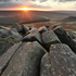 Higger Sunrise